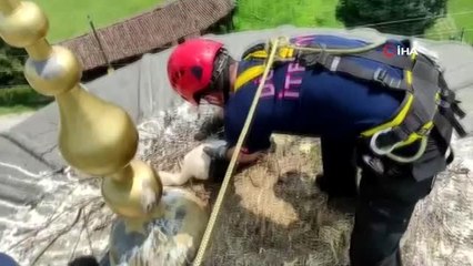 Son dakika! Anneleri ölen yavru leylekleri itfaiye ekipleri kurtardı