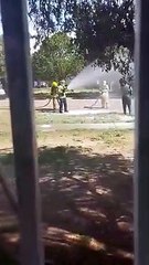 1-3 Video de ataque de avispas en El Paso