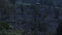 Roghi in Francia del Sud, bruciati 620 ettari in meno di 24 ore