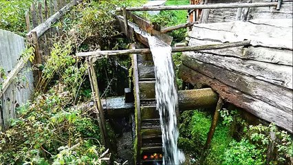 Puiu Nastase- roata morii