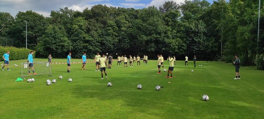Anderlecht en stage aux Pays-Bas