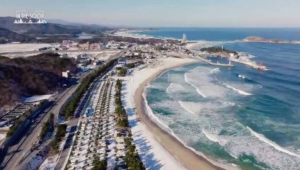 'In the Soop: Friendcation' - Teaser oficial