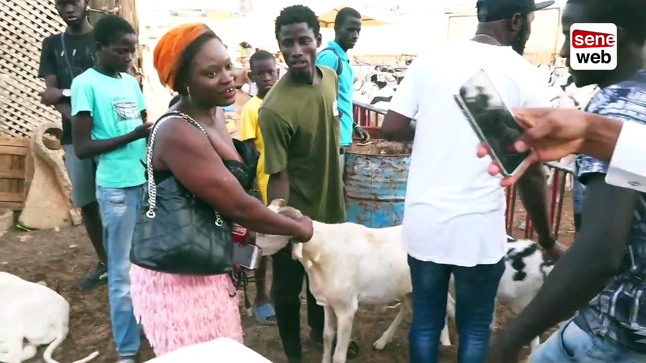 L’incroyable surprise de Wally Balago Seck à l’...