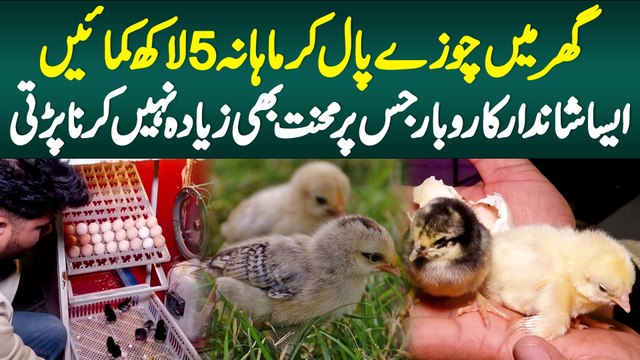 Ghar Me Chooze Pal Kar Mahana 5 Lakh Kamaye - Aisa Karobar Jis Par Mehnat Bhi Zyada Nahi Karni Parti