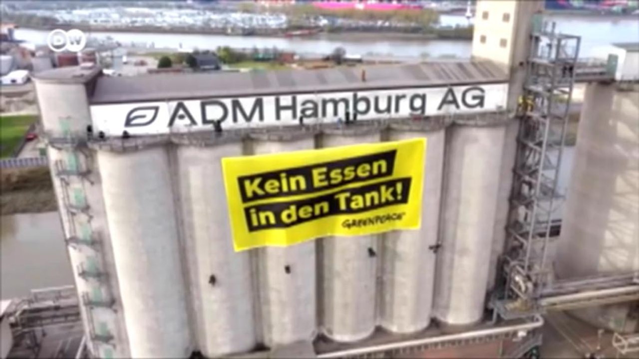 Biosprit: Auf den Teller oder in den Tank?