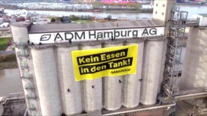 Biosprit: Auf den Teller oder in den Tank?