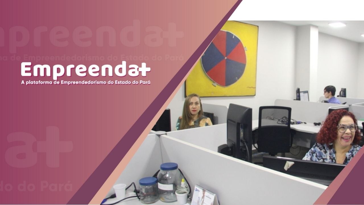 MEI, Empresa Individual e Sociedade Limitada: c...