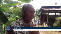 Jelang Idul Adha, Stok Sapi dan Kambing di Pedagang Habis, Pasokan Hewan Kurban Terbatas Akibat PMK