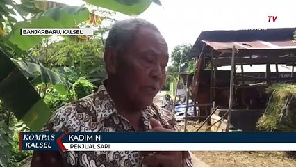 Jelang Idul Adha, Stok Sapi dan Kambing di Pedagang Habis, Pasokan Hewan Kurban Terbatas Akibat PMK