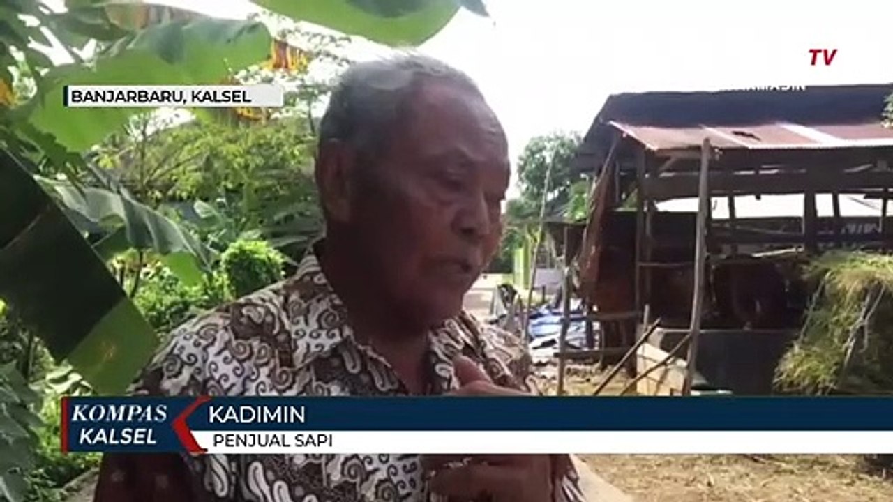 Jelang Idul Adha, Stok Sapi dan Kambing di Pedagang Habis, Pasokan Hewan Kurban Terbatas Akibat PMK
