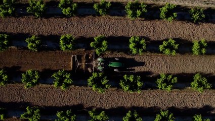 How air quality innovations and investments are paying off in California