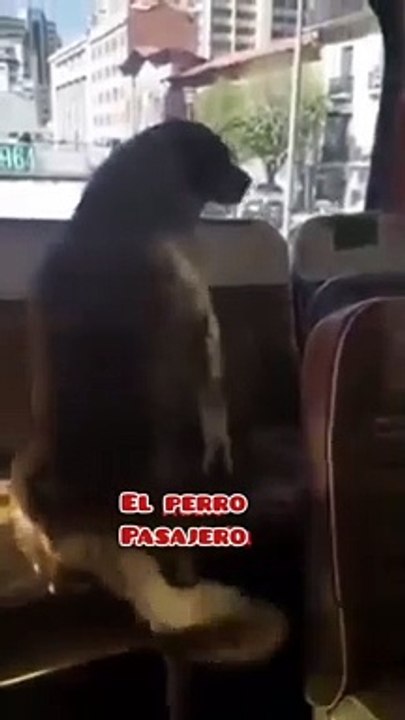 el pasajero de la línea 130