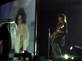 Wir sterben niemals aus