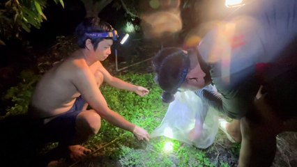 NHÀ HAI LÚA | THĂM CÂU CÁ LÓC TRONG ĐÊM