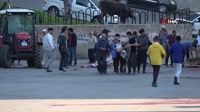 Yine çocuklar, yine aynı manzara: Kurban kesimini telefonlarıyla kaydettiler