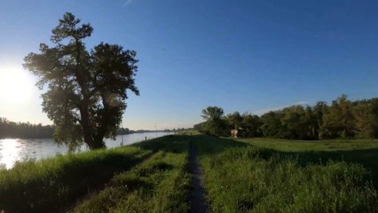 Wien am Rad: Am Praterspitz frühmorgens
