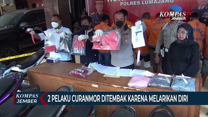 8 Pelaku dari 4 Kelompok Curanmor Lumajang Diringkus Polisi