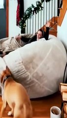 Best_of_these_amazing_funny_animals_2022_#shortsca