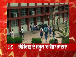 ਸਕੂਲ 'ਚ ਬੱਚਿਆਂ 'ਤੇ ਡਿੱਗਿਆ 250 ਸਾਲ ਪੁਰਾਣਾ ਵਿਰਾਸਤੀ ਦਰੱਖਤ, ਦਸਵੀਂ ਜਮਾਤ ਦੀ ਵਿਦਿਆਰਥਣ ਦੀ ਮੌਤ,