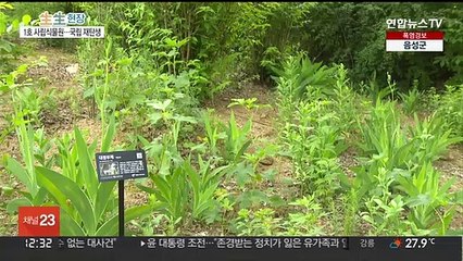 토종 꽃의 아름다움에 흠뻑…국립한국자생식물원 개원