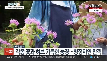 코로나19 걱정 '뚝'…"농촌으로 힐링 여행"