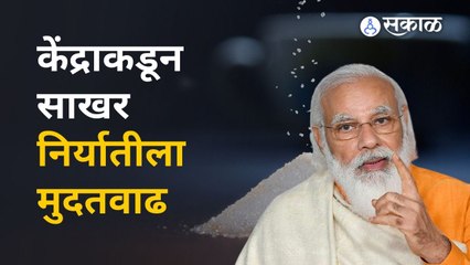 साखर निर्यातीला मुदतवाढीनंतर नाराजी का ? । Sugar Export | Sugar Bajarbhav | Sakal Media