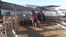 İç Anadolu'daki hayvan pazarlarında bayramın ilk gününde yoğunluk devam ediyor