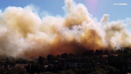 Francia, le fiamme distruggono 650 ettari di territorio boschivo