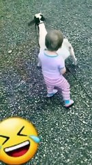 Short Viral Clips 🌟