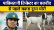 Pakistan के क्रिकेटर Kamran Akmal का बकराीद से पहले 1 लाख रुपए का बकरा चोरी |वनइंडिया हिंदी*Cricket