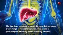 9 Simple Steps to Cleanse Your Liver Within 2 Weeks