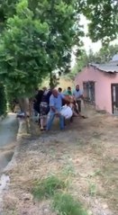 KURBANLIK BOĞAYI 7 KİŞİ ZAPTEDEMEDİ; BİR KİŞİ ALDIĞI DARBE İLE YERE DÜŞTÜ