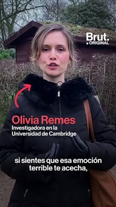 5 consejos para combatir la ansiedad por Olivia Remes