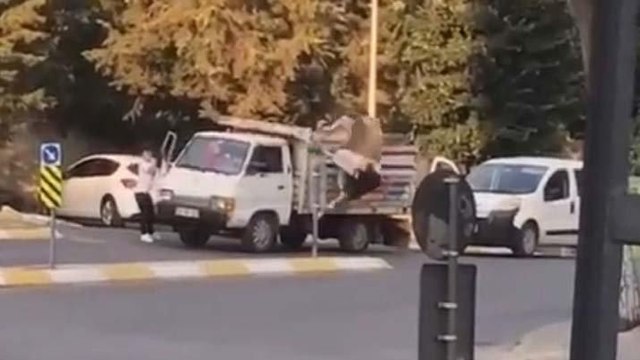 İstanbul'da kaçan kurbanlık ortalığı birbirine kattı