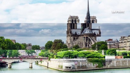 Pas des « rats », des « surmulots » : le discours cocasse d’une conseillère de Paris