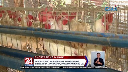 Inter-island na pagbiyahe ng mga itlog, sisiw at batang inahin, papayagan na ng DA | 24 Oras Weekend