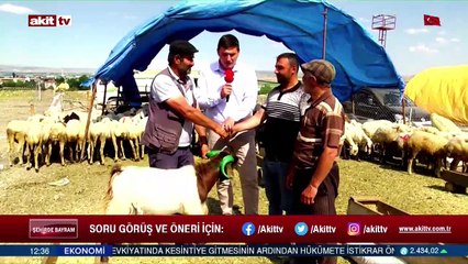 Kurbanın anlam ve önemi