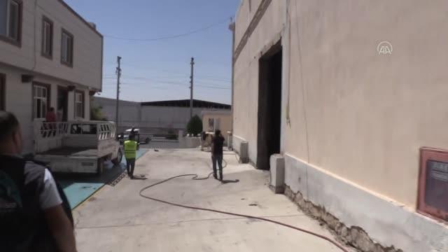 ŞANLIURFA - Kurban yakalama timi kaçan büyükbaş hayvanları yakaladı