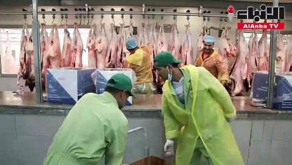إقبال كبير من المضحين على مسلخ العاصمة.. و6 آلاف أضحية متوقعة خلال أيام العيد