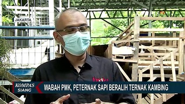 Wabah PMK Jangkiti Ternaknya, Peternak Sapi Beralih Ternak Kambing