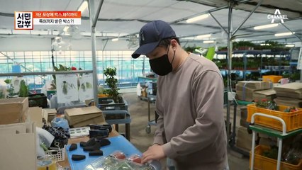 보유 박스만 100여가지, 특허까지 받은 갑부의 시크릿 식물 포장법!