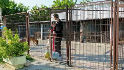 مسلسل حلو ومر الحلقة 4