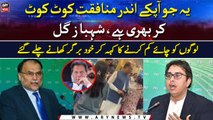 Shahbaz Gill slammed Ahsan Iqbal over his statement on Imran khan