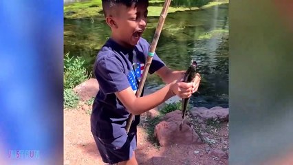 Videos De Risa 2022 nuevos  Videos Graciosos - Animales Atacando Personas _ Funny Fails