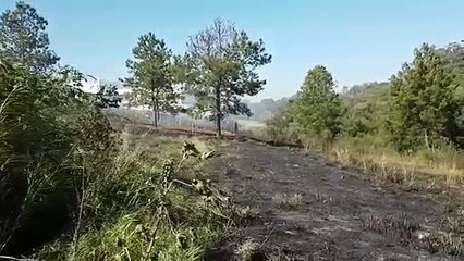 Bombeiros combatem incêndio em grande área de vegetação no Esmeralda