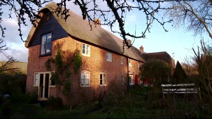 Gogglebox UK S19E12 (2022)