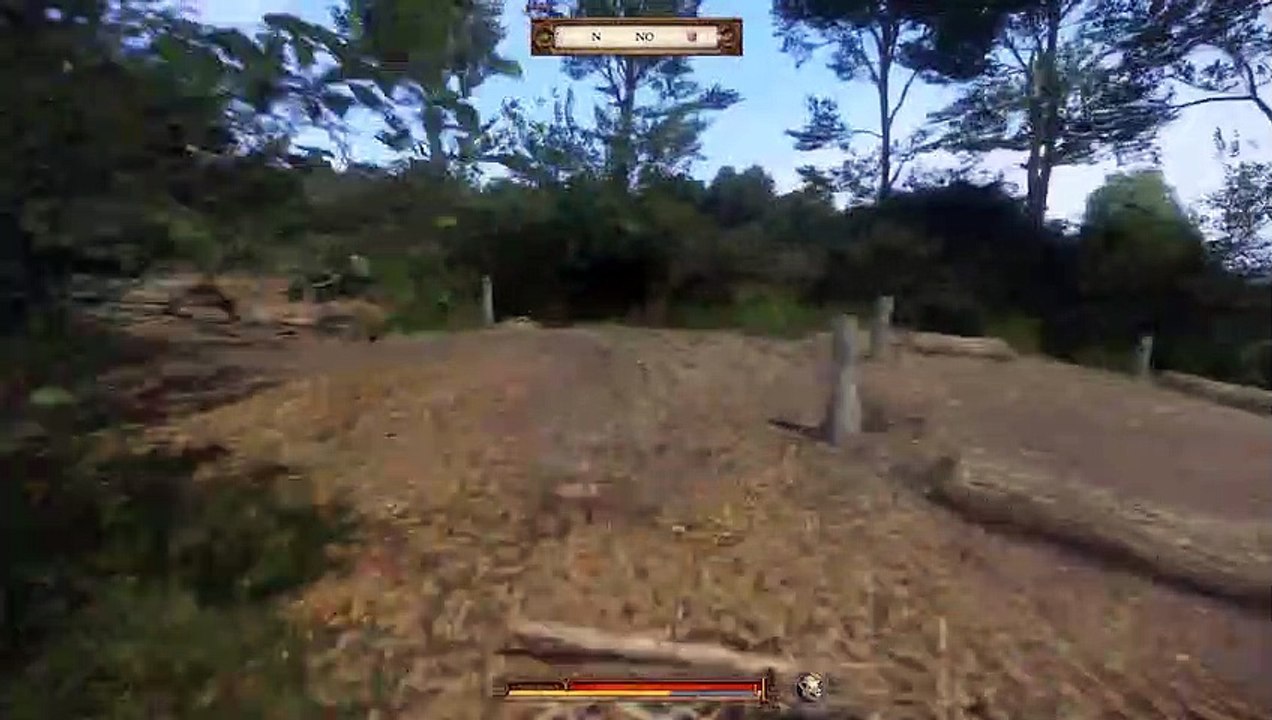 Wir haben doch nichts getan?! Kingdom Come: Deliverance #49 (Part 2)