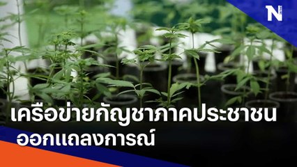 เครือข่ายกัญชาภาคประชาชนออกแถลงการณ์ | ข่าวข้นคนข่าว | NationTV22