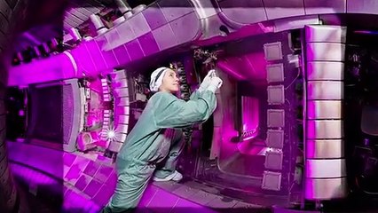 Eleonora Viezzer gana el Premio Princesa de Girona a la Investigación Científica