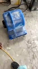 Golden Retriever Puppy Enjoys Sitting in Front of Fan